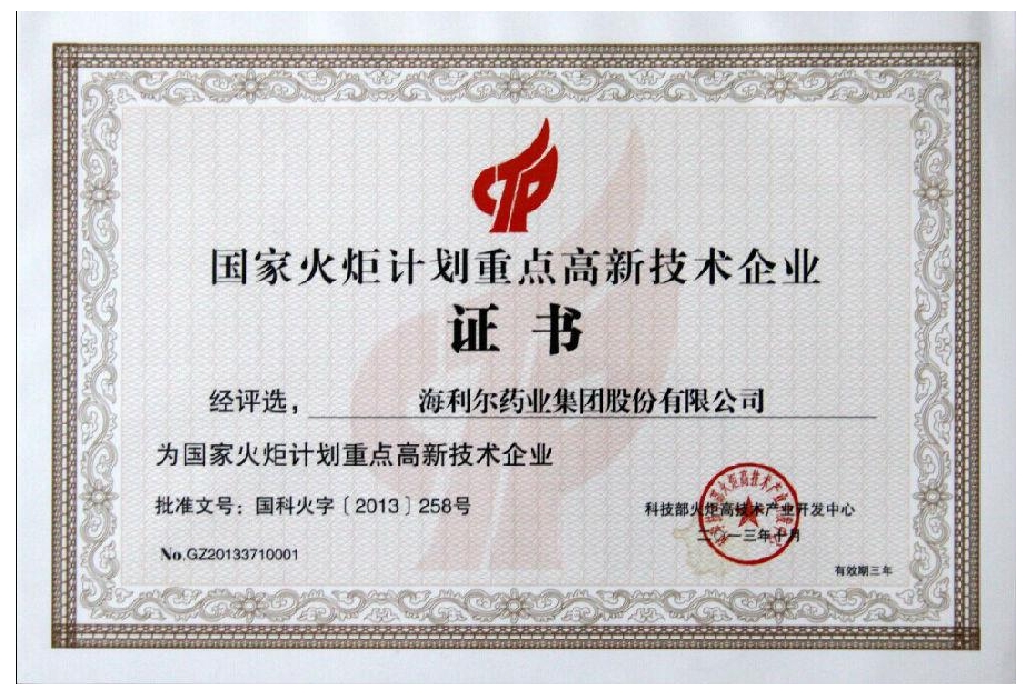 國家火炬計劃重點高新技術企業