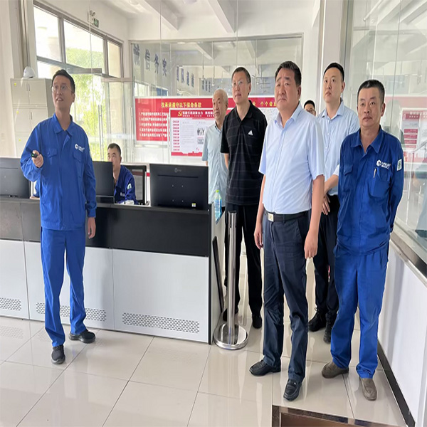 開發區管委會副主任馮濤一行到山東海利爾調研指導