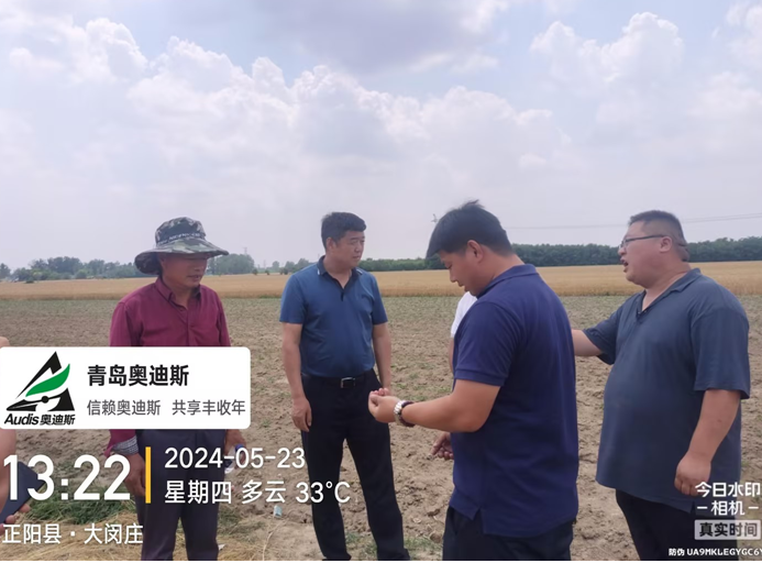 名譽董事長躬身入局下市場，田間地頭調研忙